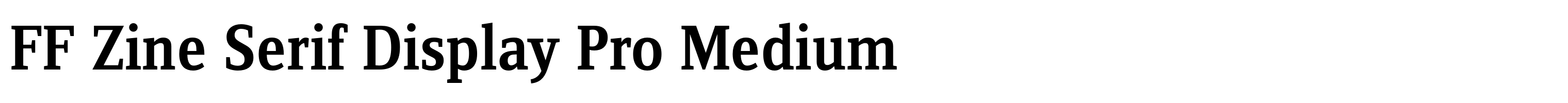 FF Zine Serif Display Pro Medium